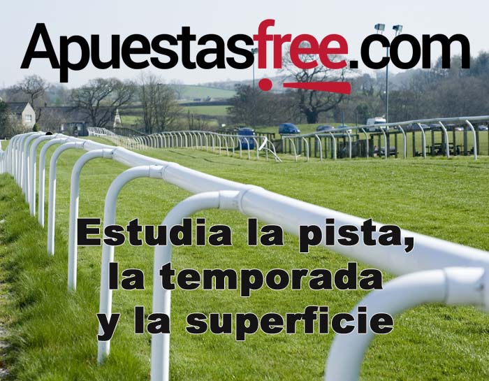 apuestas caballos