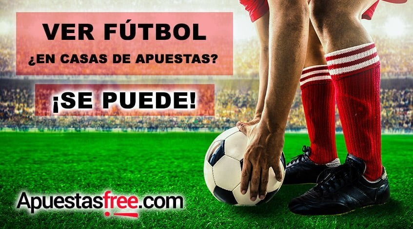 partidos fútbol online