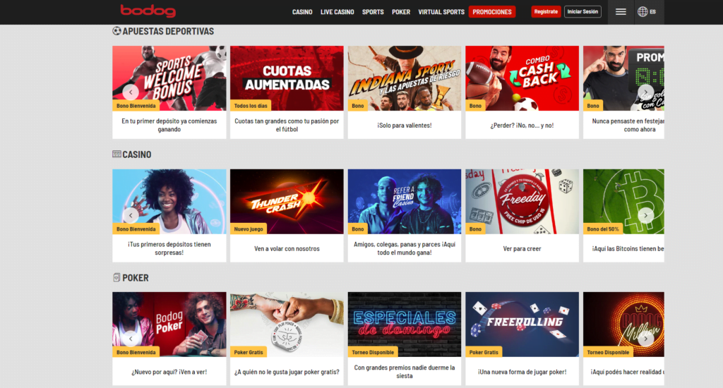 bodog casino