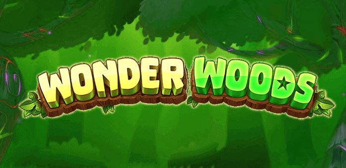 wonder woods kirolber casino