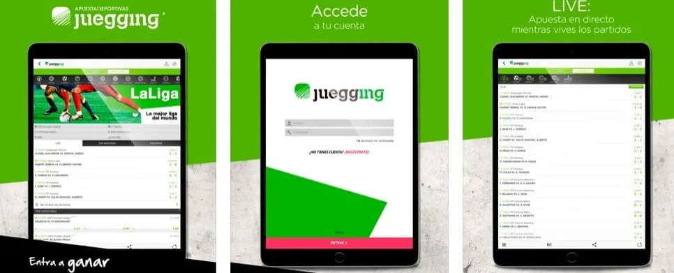 app juegging jugar al bingo