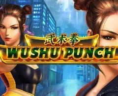 wushu punch