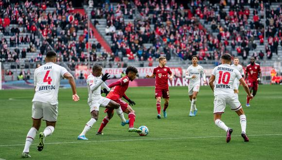 Zamba Bayern Munich vs Leverkusen