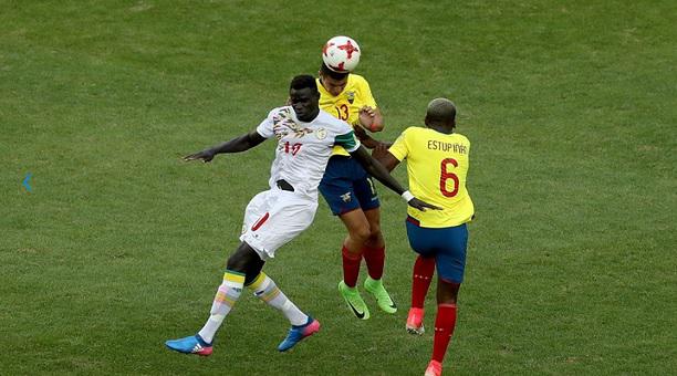 Zamba Ecuador vs Senegal