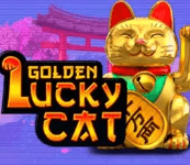 golden lucky cat bingo