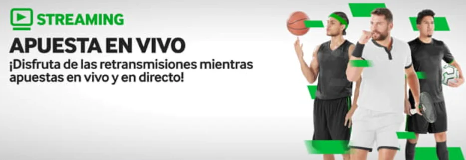 ver online nhl betway