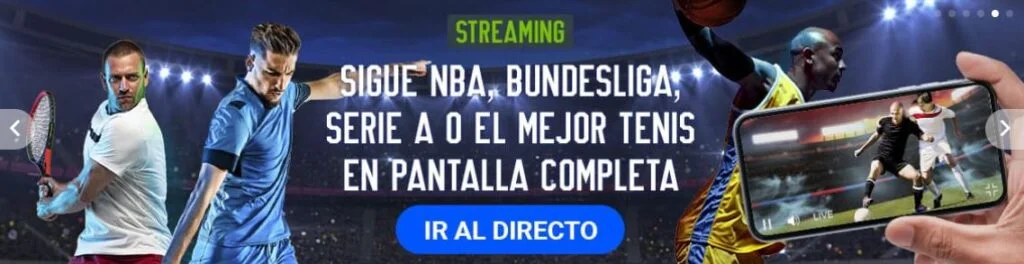 ver online atp lyon tenis