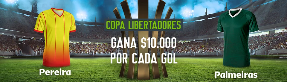 codere bono pereira palmeiras