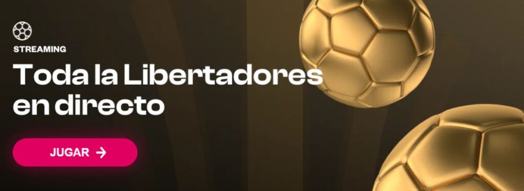 ver final copa libertadores 2023