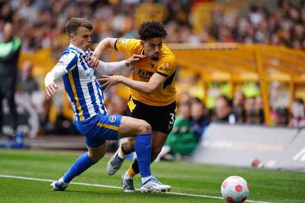 latamwin brighton vs wolves