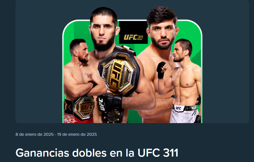 stake ufc 311