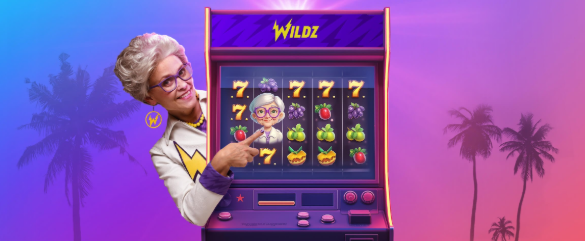 wildz new welcome offer