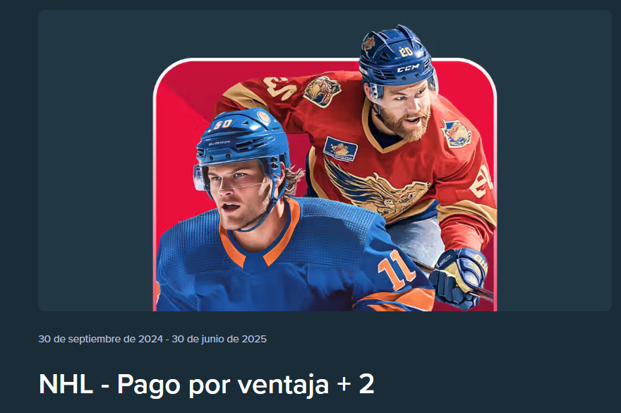 stake final nhl