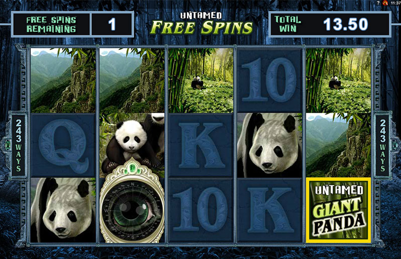 untamed giant panda slot untamed giant panda slot