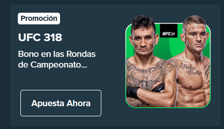 stake ufc 318