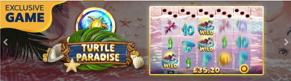 betrivers turtle paradise