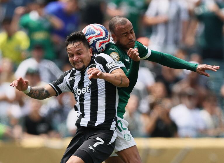 stake botafogo x palmeiras