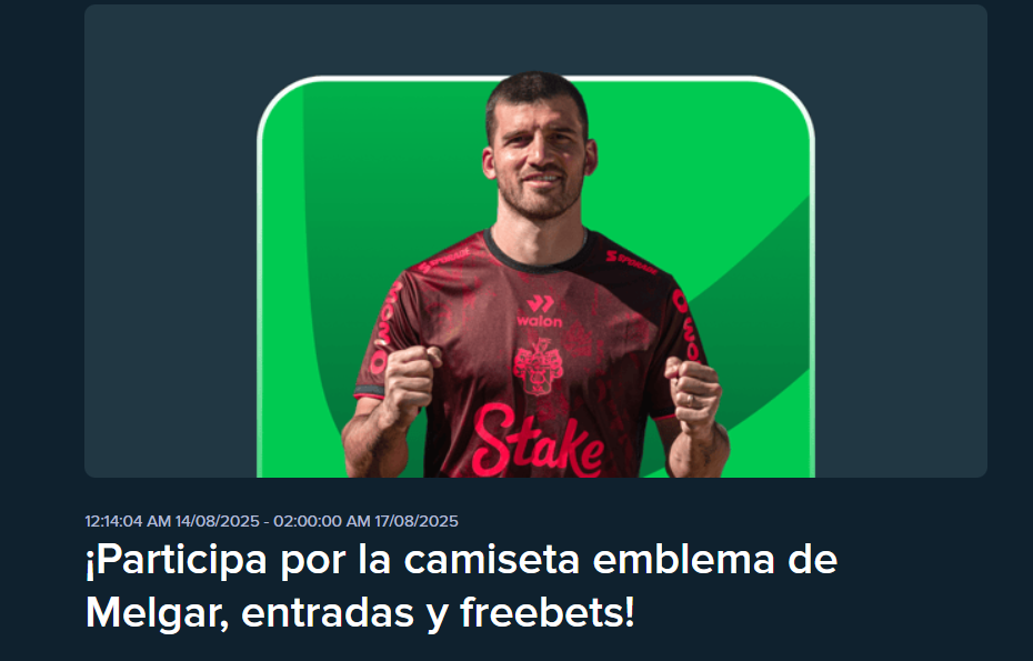 stake camiseta melgar