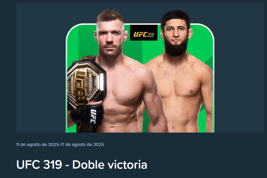 stake ufc 319
