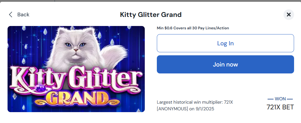 betrivers kitty glitter grand