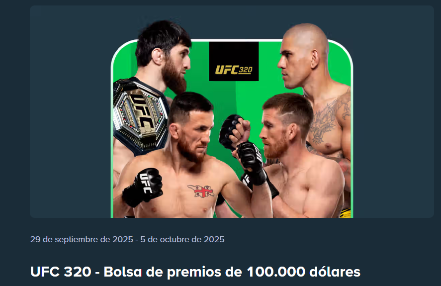 stake ufc 320