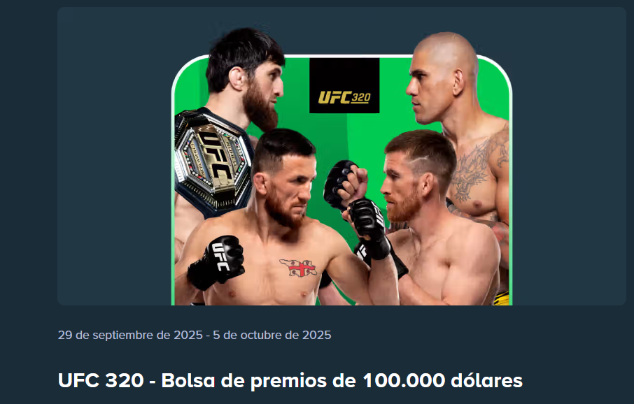 stake velada 320 ufc