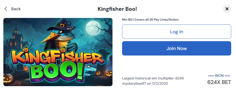 betrivers kingfisher boo