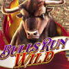 bulls-run-wild-sportium