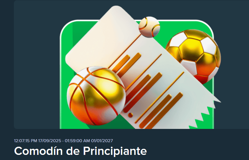 stake comodín de principante