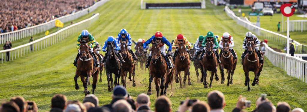 apuestas a cheltenham Festival
