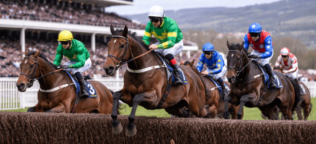 donde apostar al festival de Cheltenham