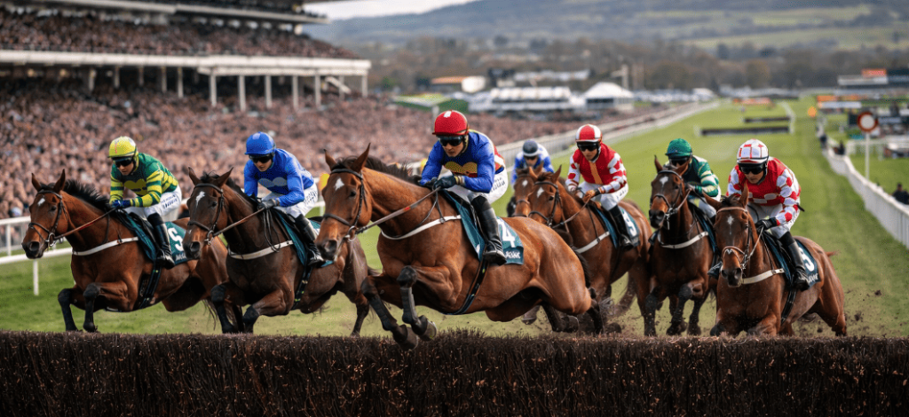 Horses jumping a hurdle during a race at the Cheltenham Festival with jockeys and crowd in the background