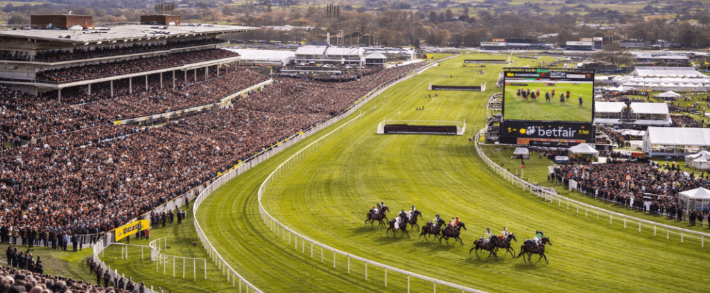 Panoramic view of Cheltenham Racecourse during the Cheltenham Festival with thousands of spectators watching the race